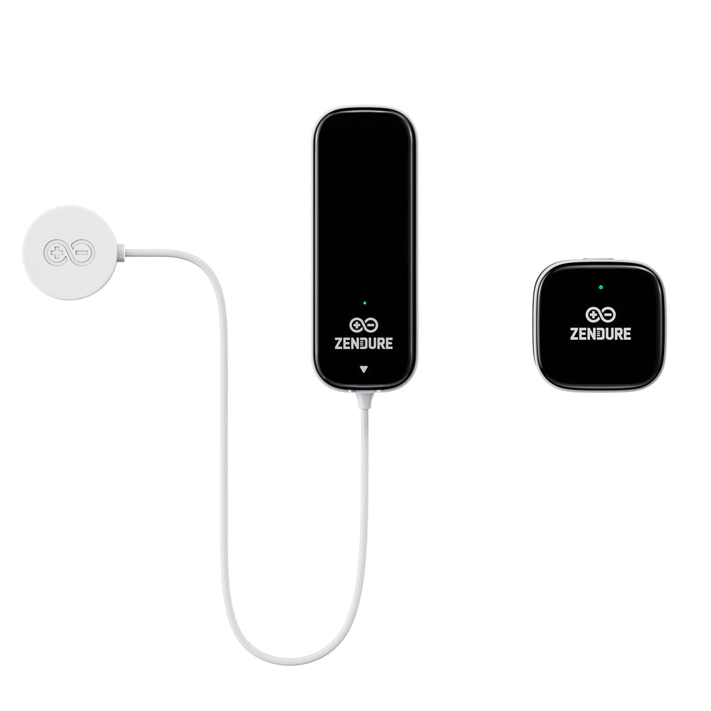 Zendure Smart Meter D0 – Lesekopf und Bridge