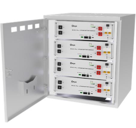 Deye SE-G5.1 Pro-B Lithium (LiFePo4) Batteriemodul / 5,12kWh / 100Ah / 48V / inkl. Zubehör