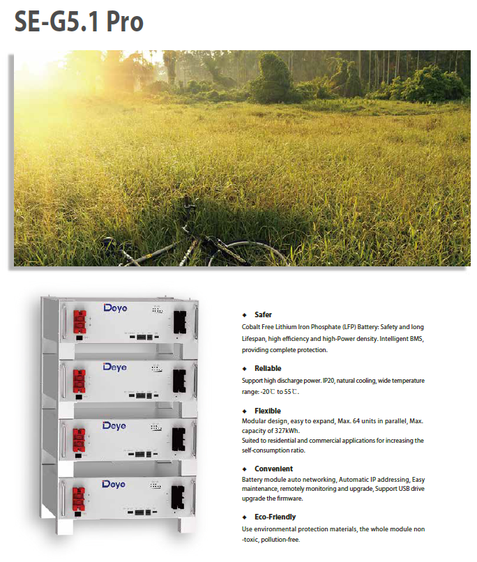 Deye SE-G5.1 Pro Lithium (LiFePo4) Batteriemodul / 5,12kWh / 100Ah / 48V / inkl. Zubehör